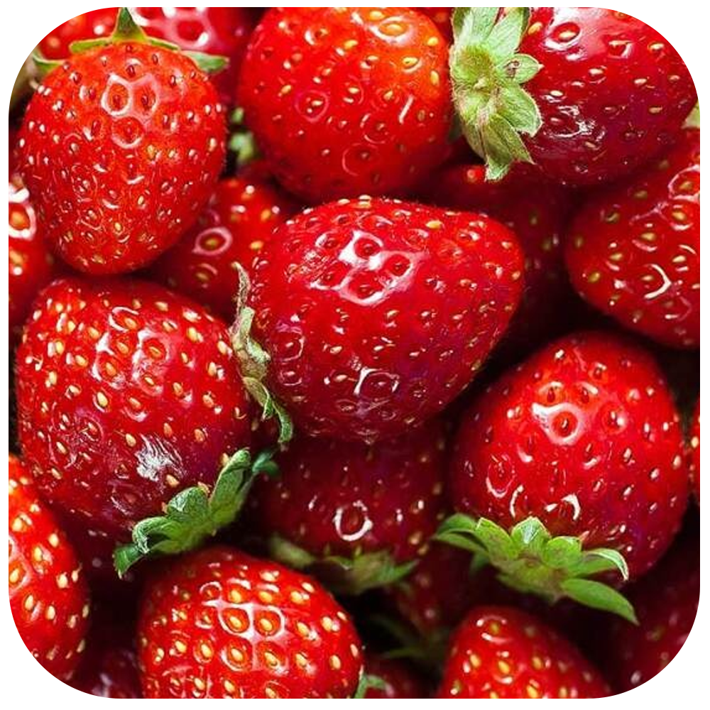 fresas